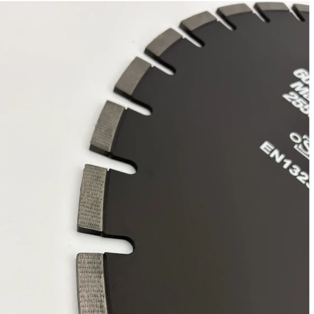 Dischi diamantati per seghe murali LWUW-PDA 600 x 5.0 mm – Vista 2