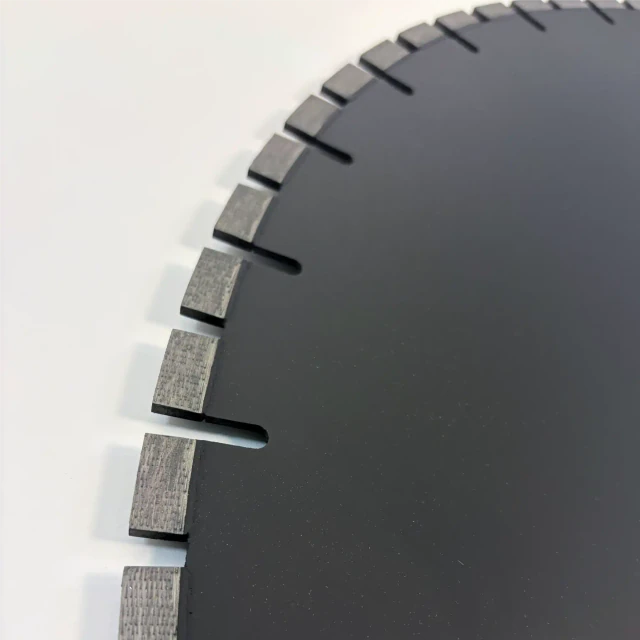 Dischi diamantati per tagliasuolo LWCDS-PDA 750mm – Vista 2