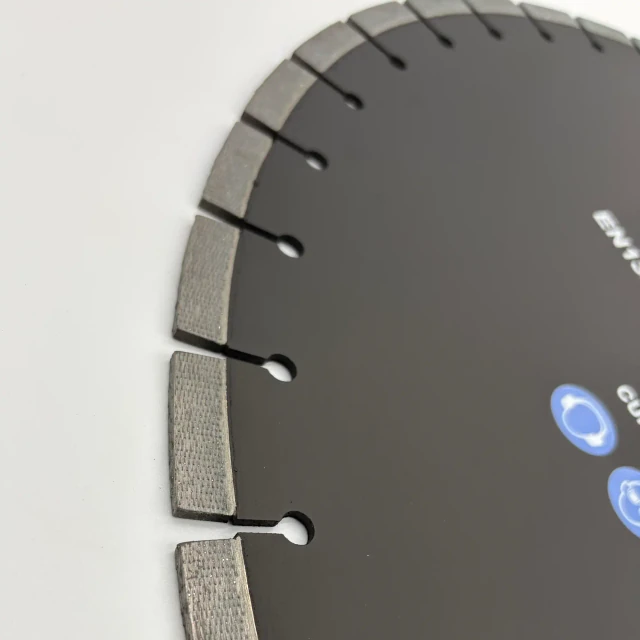Disques diamant pour scies de sol LW-PDA 600mm – Vue 2